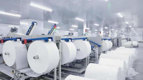 从代工厂到零售巨头 重庆淘特工厂解锁家居用品销售转型新密码